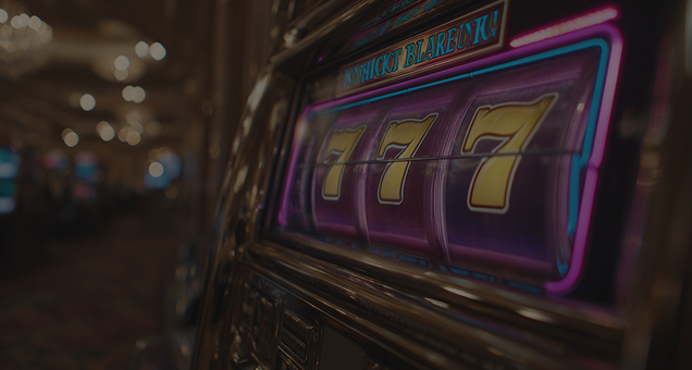 Wild Casino